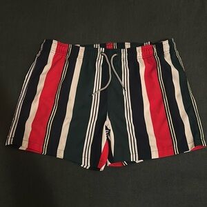 Striped Swim Shorts